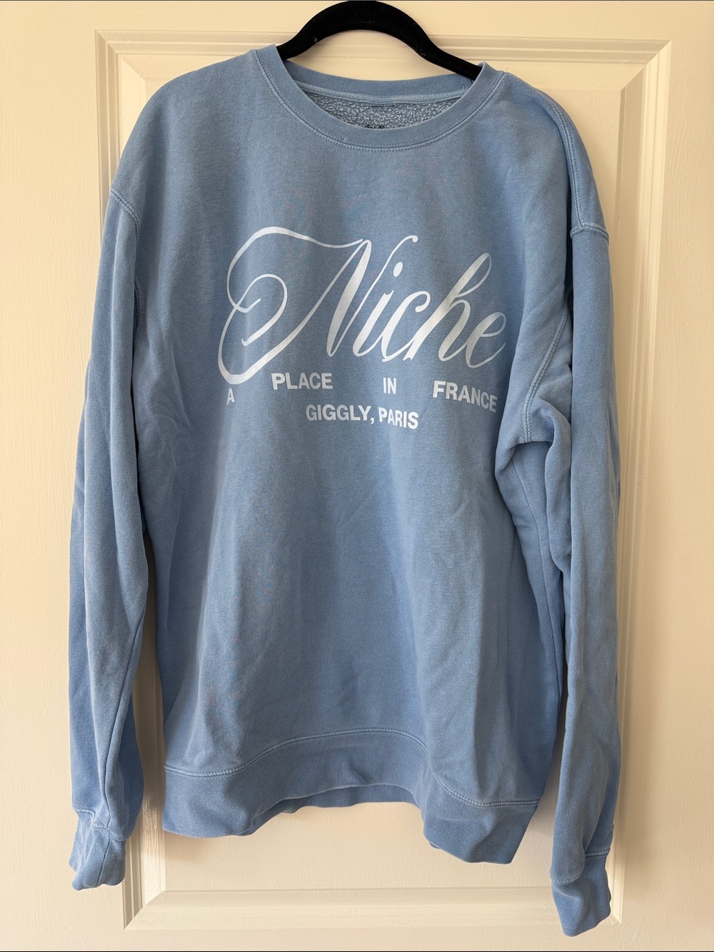 NWOT - Giggly Squad Niche Pigment Blue Crewneck